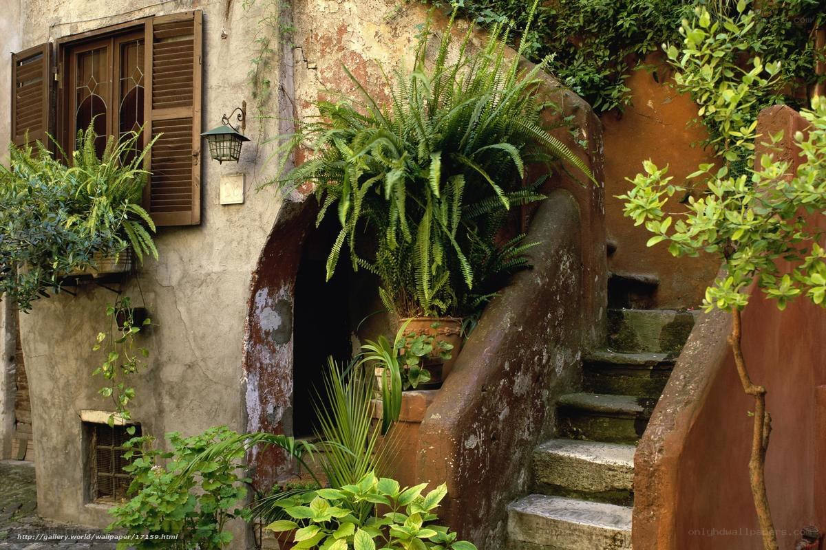 Old stone staircase with plants
