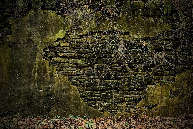 Old stone wall with vines