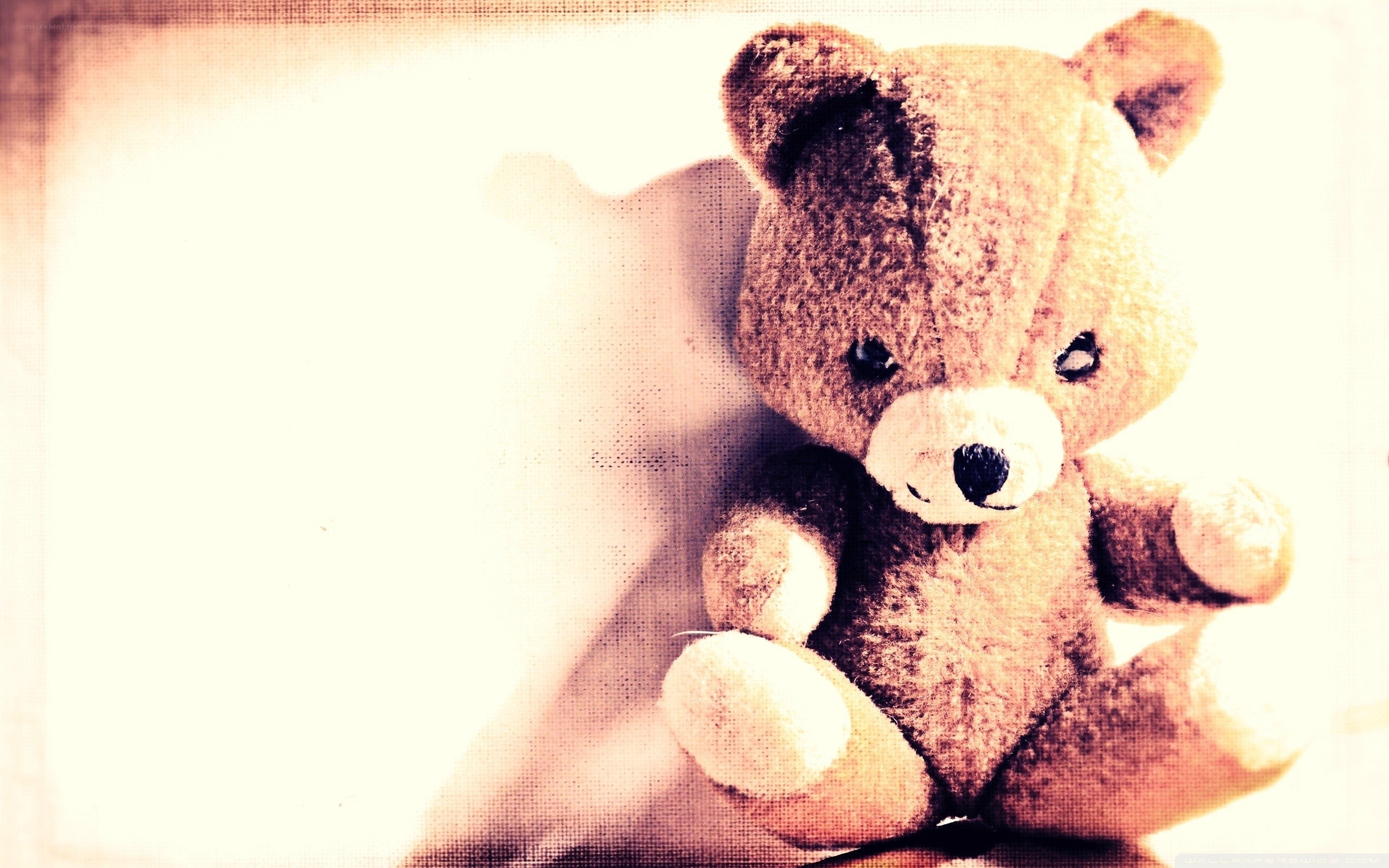 old teddy bear in sunlight