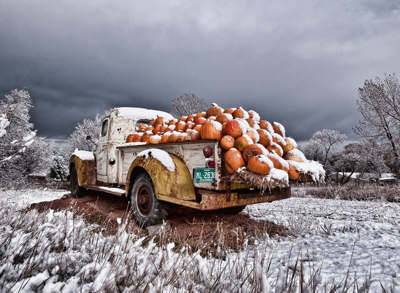 Old Truck with Pumpkins — White