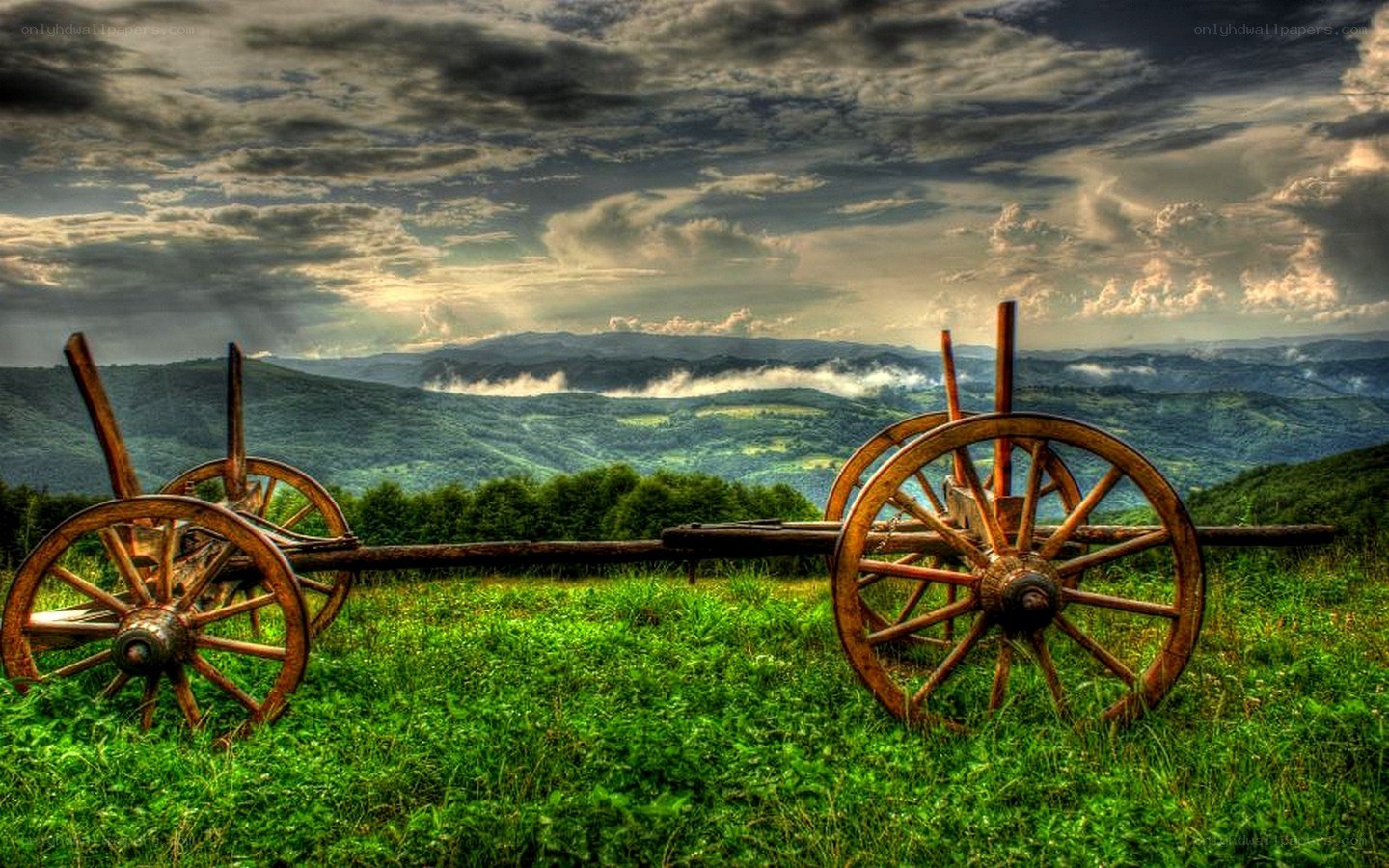 Old wagon in a green valley