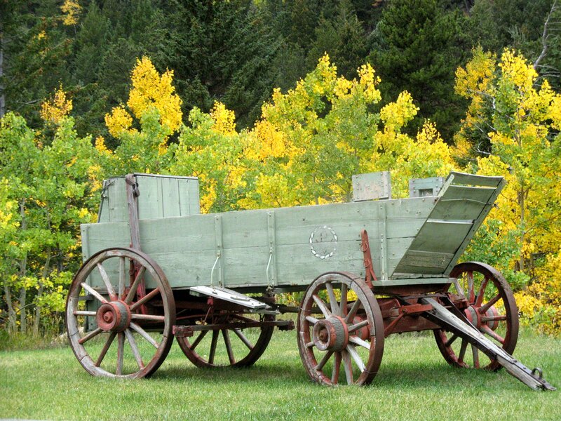Old wagon in autumn forest
