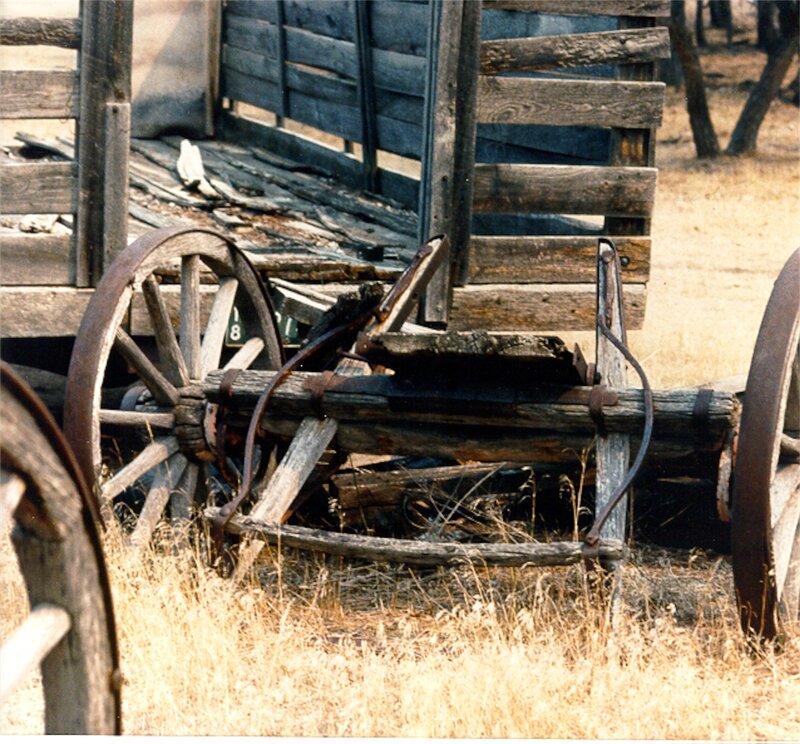 Old wagon in dry grass