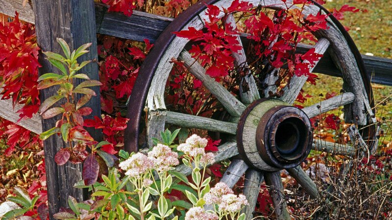 Old Wagon Wheel — Red