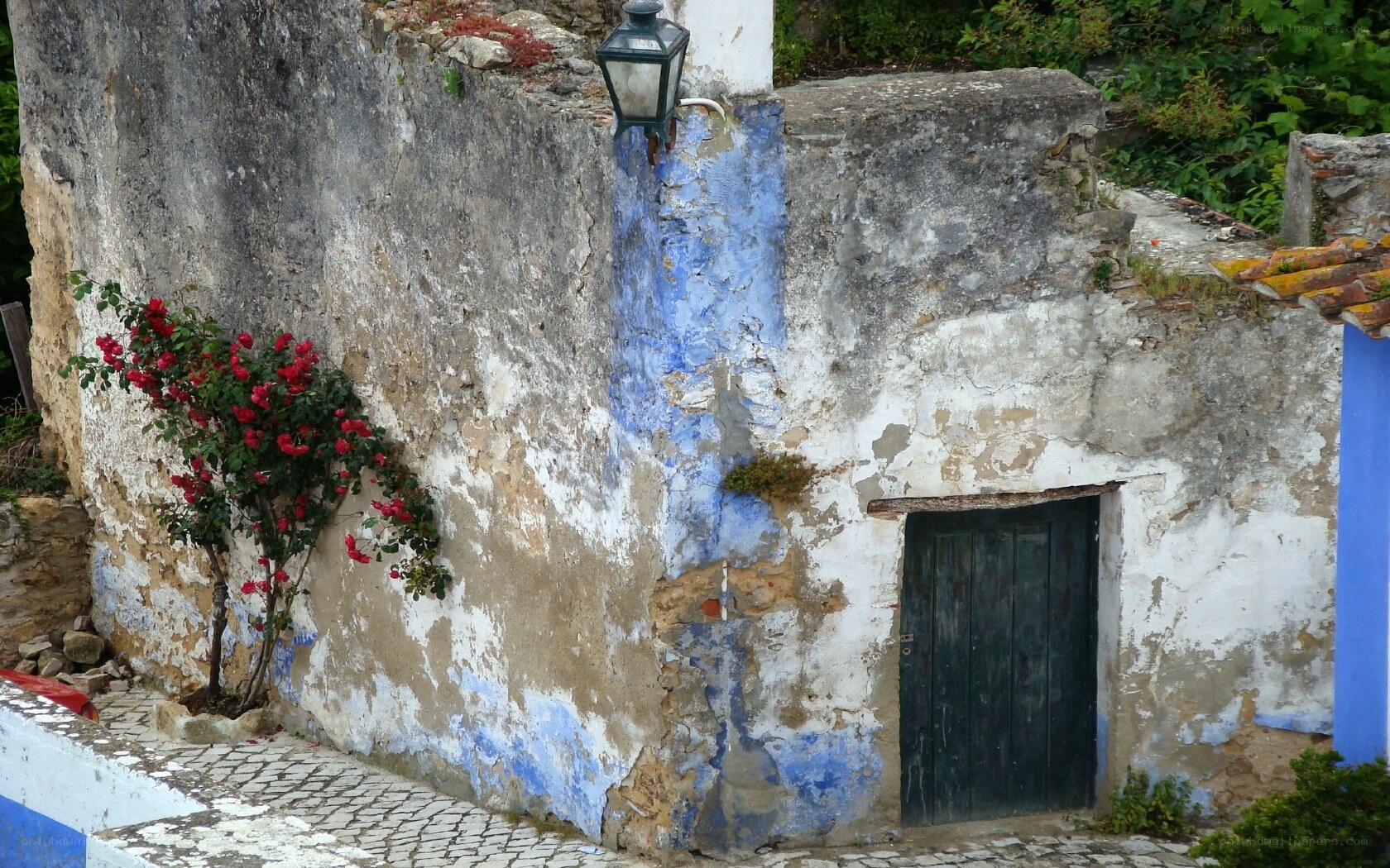 Old wall with flowers and lantern