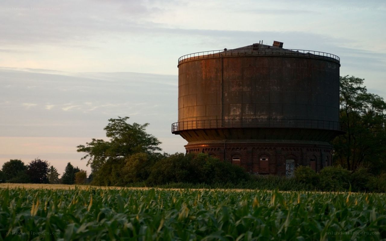 Old water tower in a cornfield