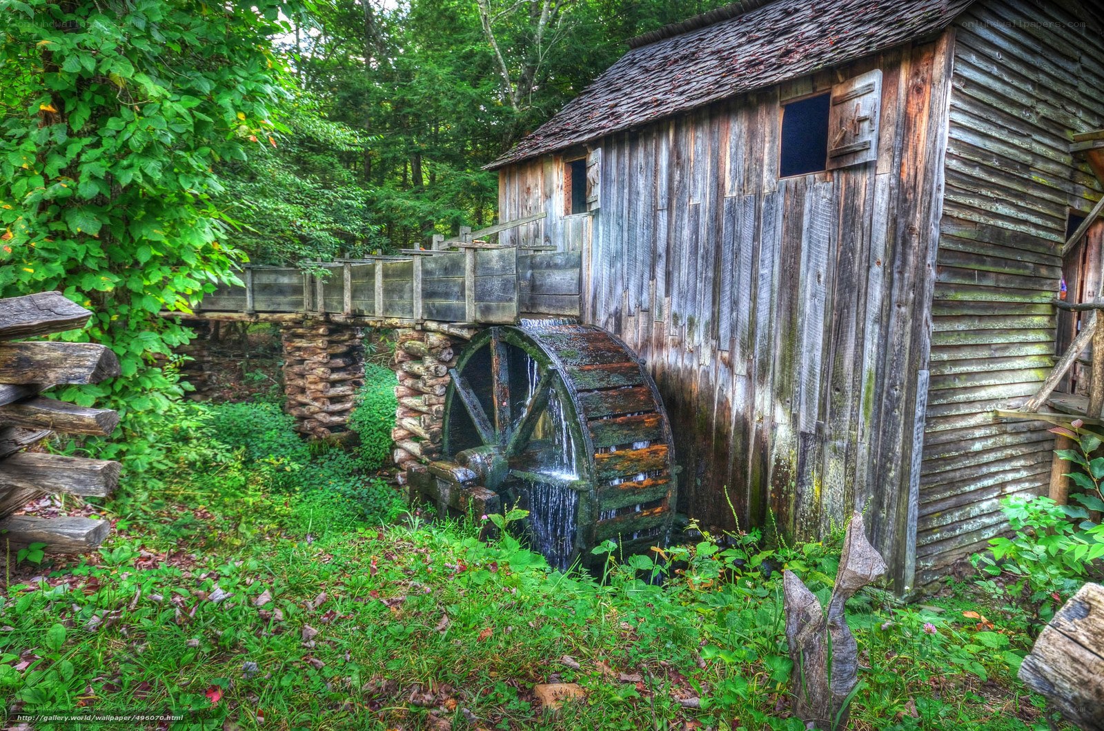 Old watermill in forest