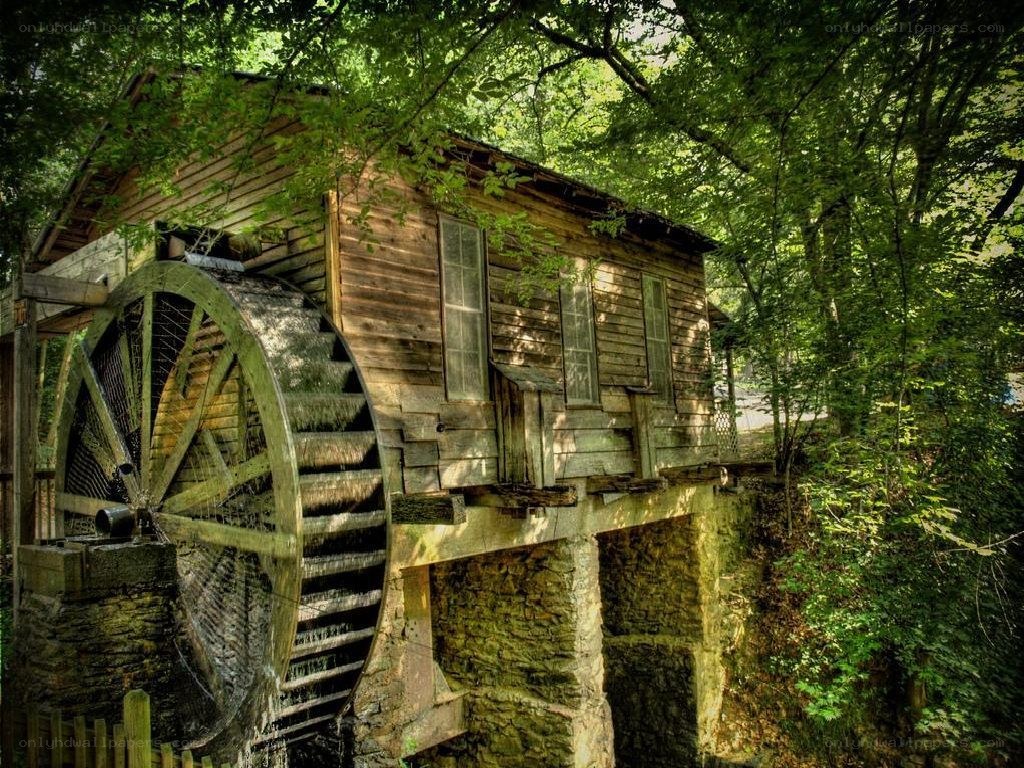 Old watermill in forest