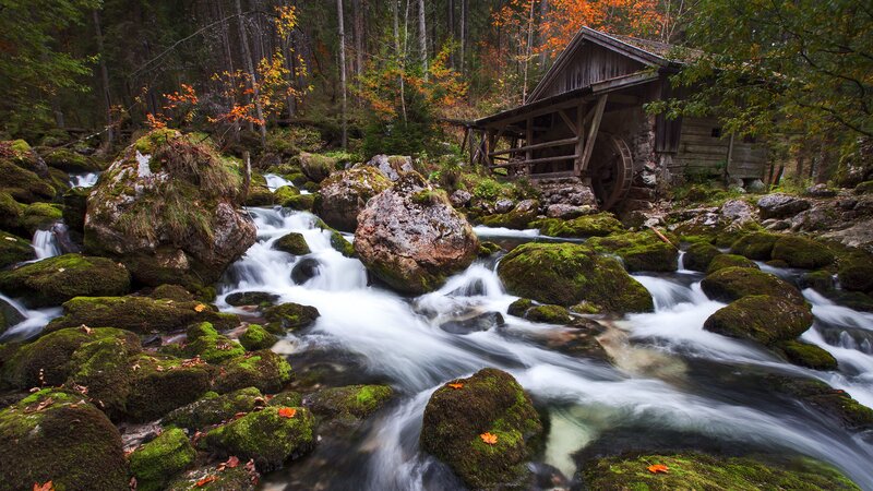Old Watermill in Forest — Green, Serene, Autumn, Photograph