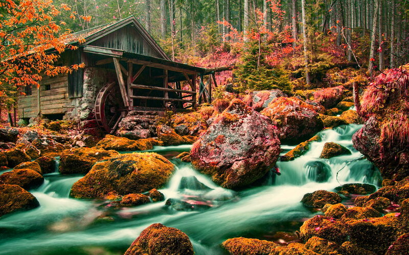 Old Watermill in Forest — Green, Serene, Autumn