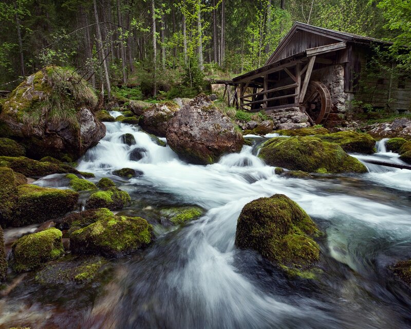 Old Watermill in Forest — Green, Serene, Spring