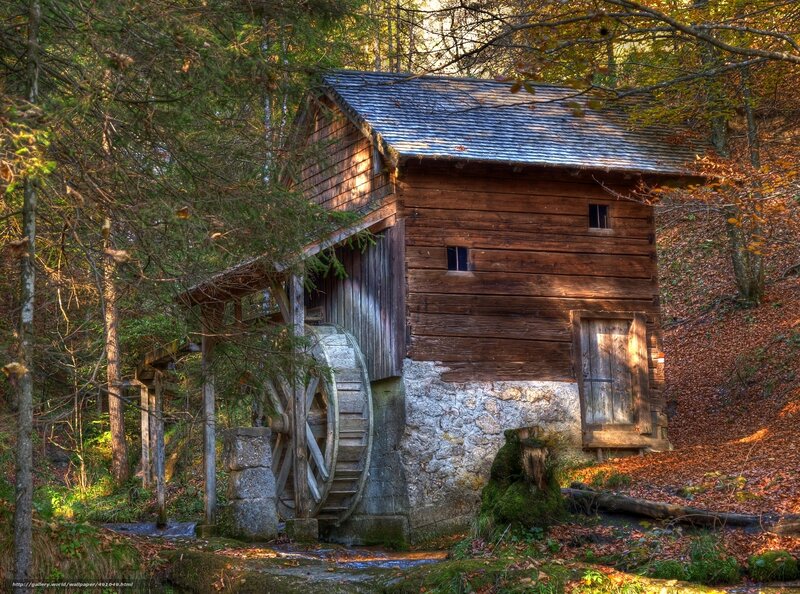 Old watermill in forest
