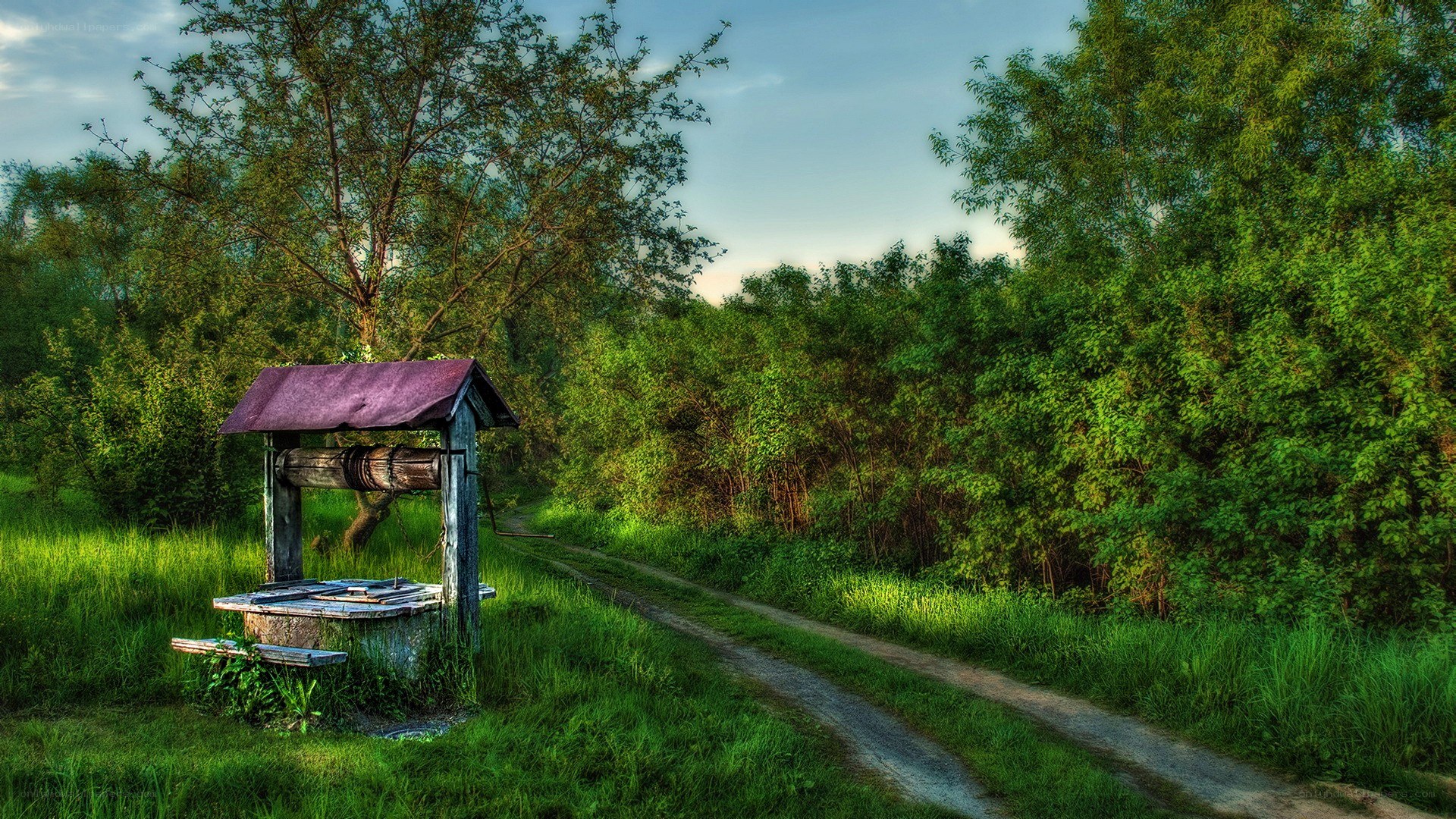 Old well by a country path