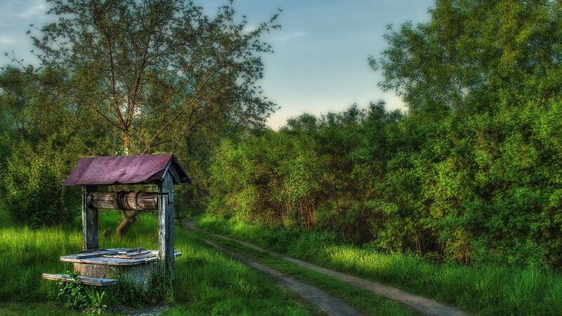 Old Well in Forest