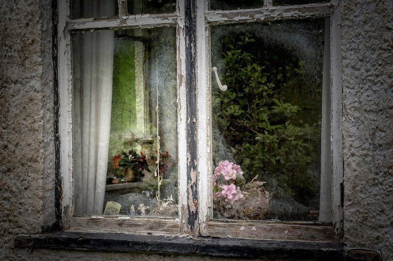 Old Window with Flowers