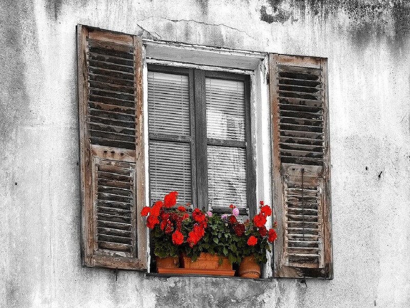 Old window with red flowers