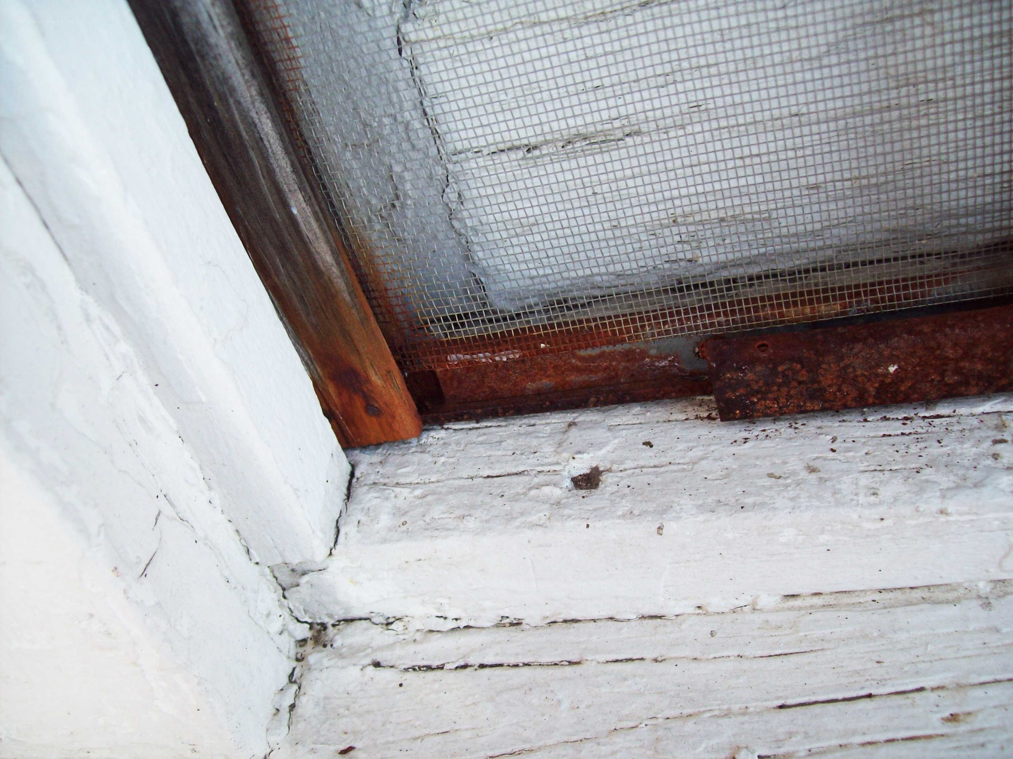 old window with screen