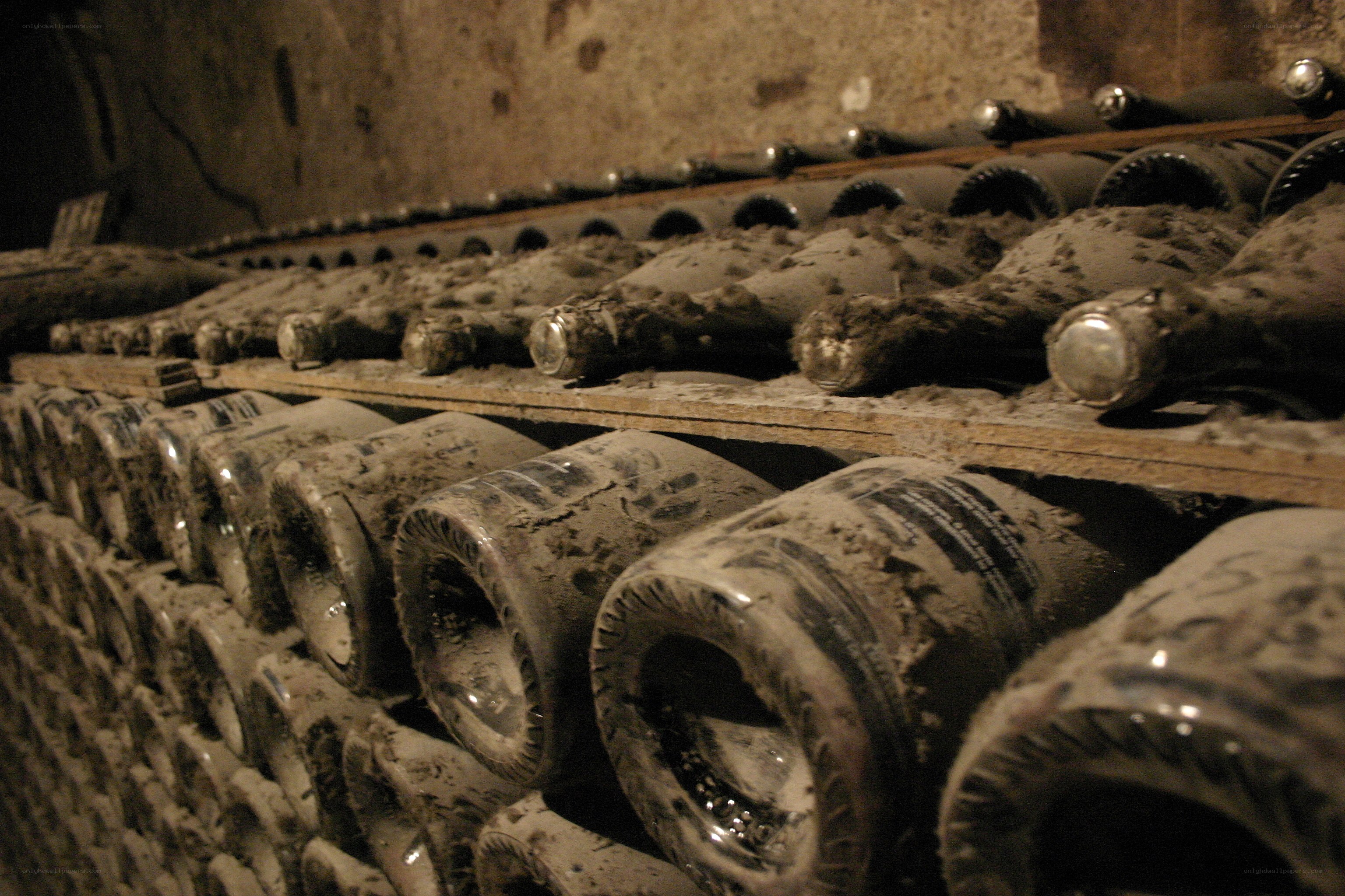 Old wine bottles in cellar