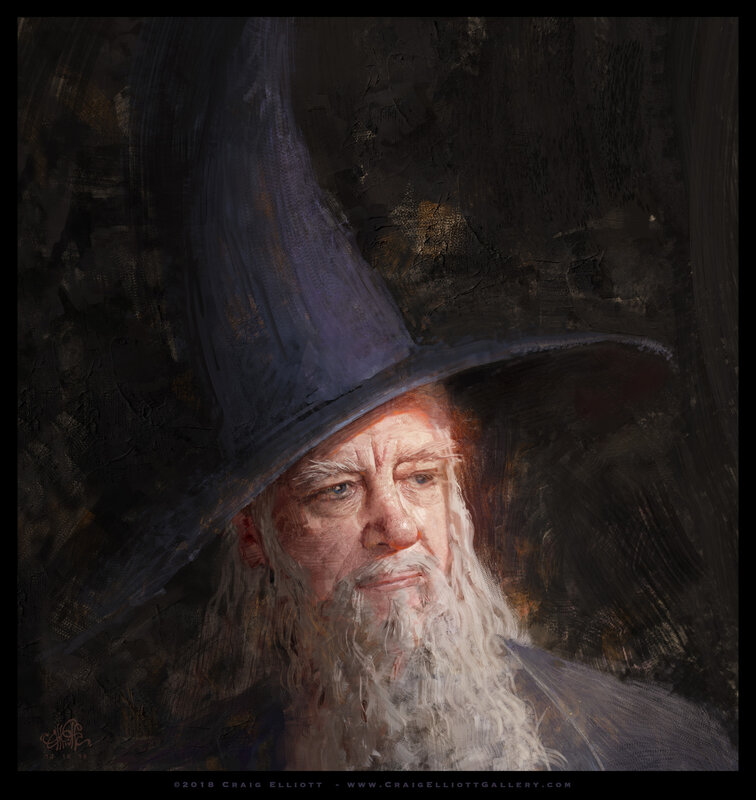 Old Wizard with Long Beard