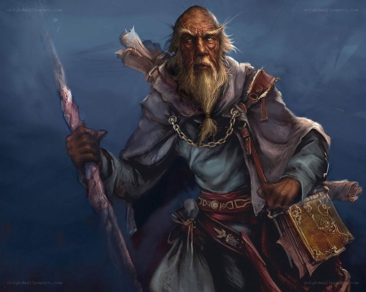 old wizard with staff and book