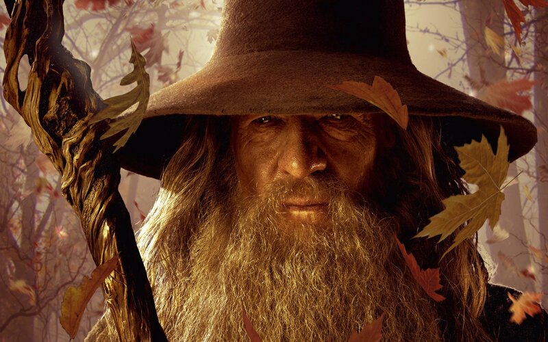 Old Wizard with Staff — Brown