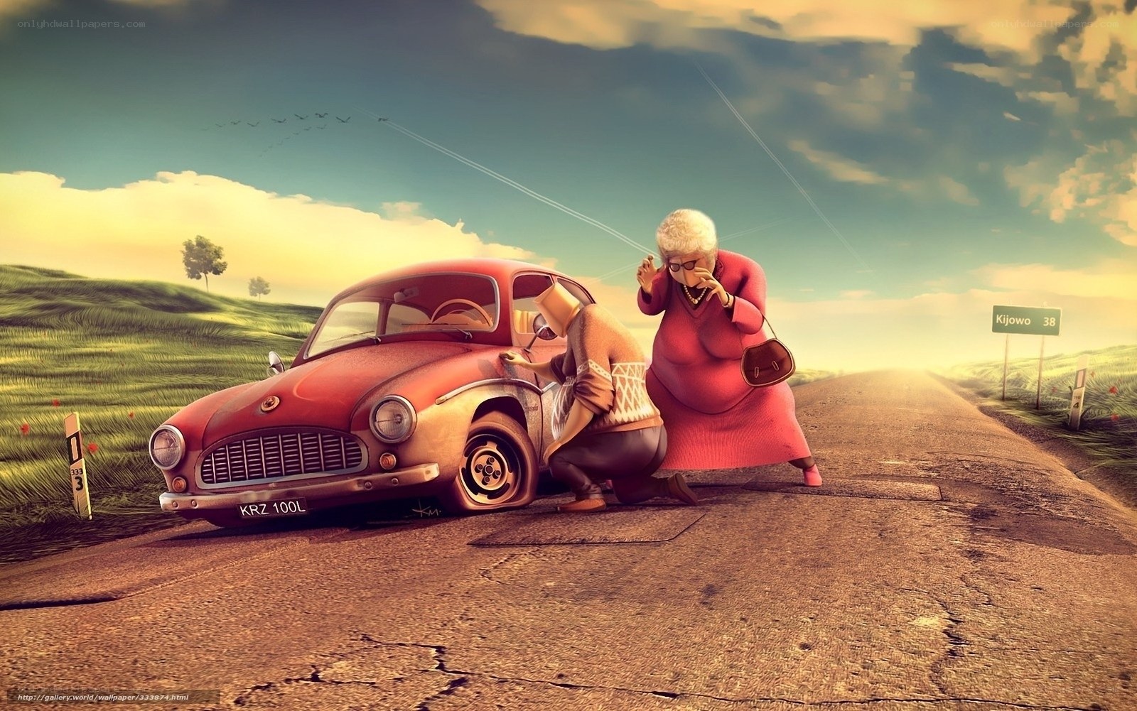 Old woman with broken car