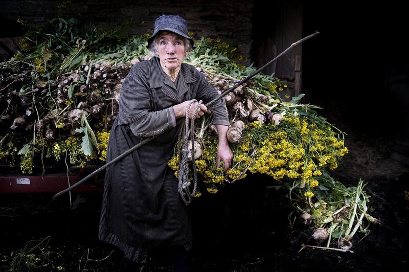 Old woman with harvested turnips