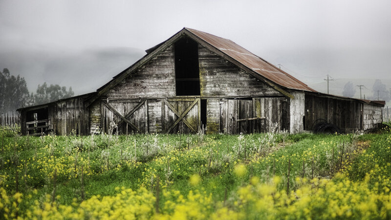 Old Wooden Barn — Green, Moody