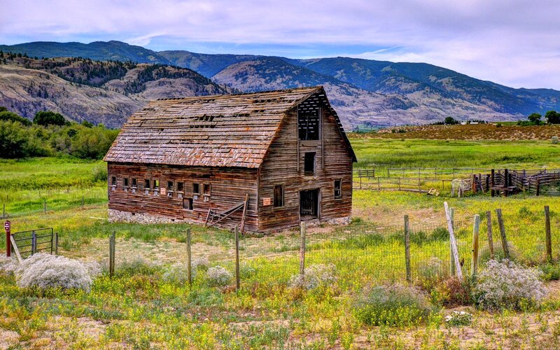 Old Wooden Barn — Green, Serene, Afternoon, Photograph