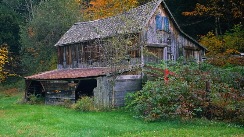 Old Wooden Barn — Green, Serene