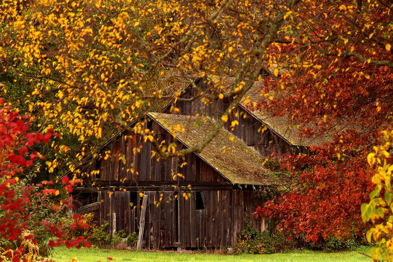 Old Wooden Barn — Red