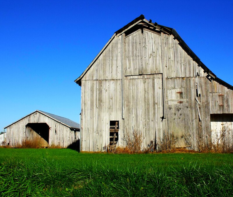 Old Wooden Barns — Green