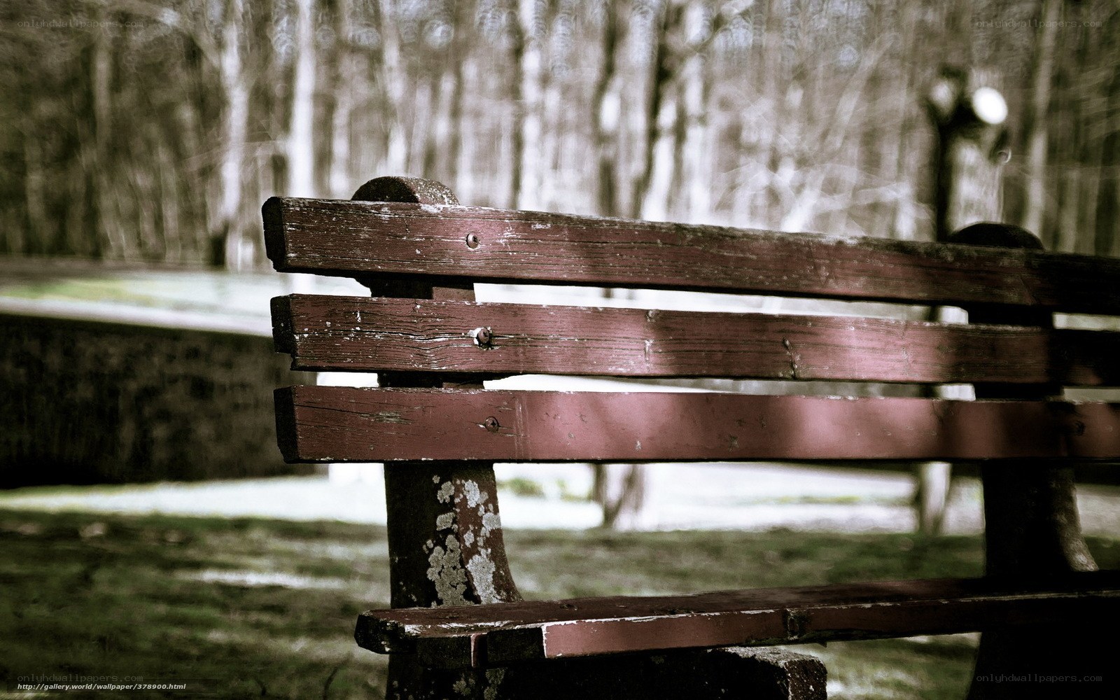 Old wooden bench in park