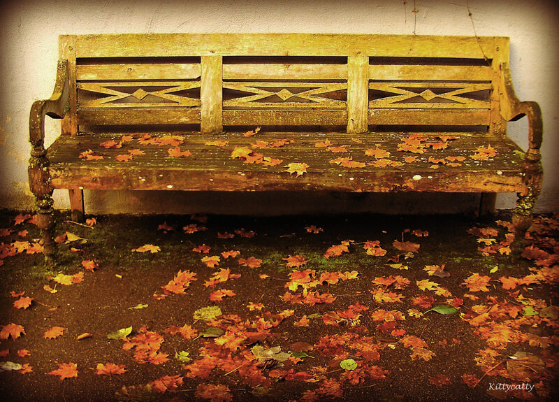Old Wooden Bench