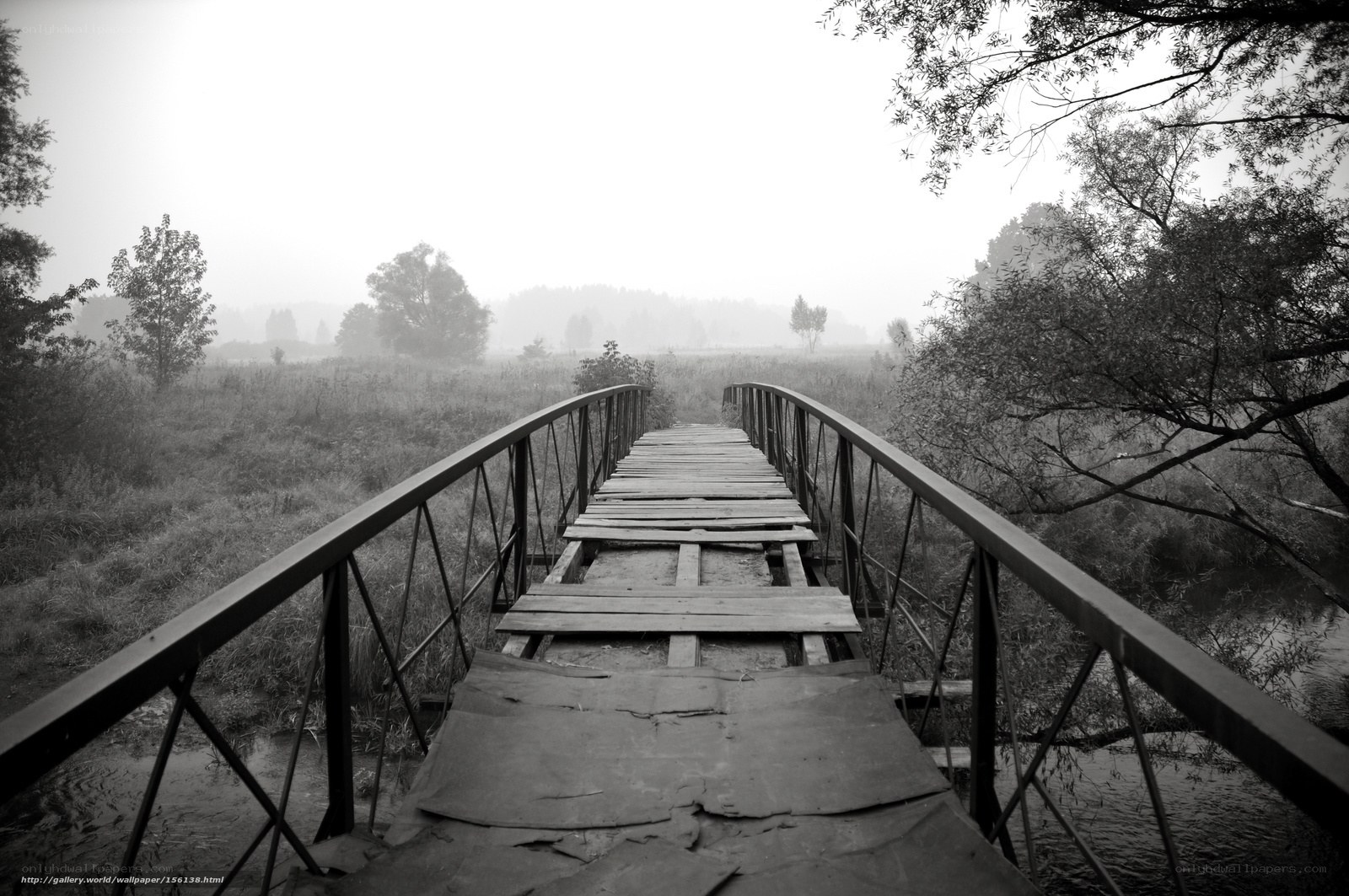 Old wooden bridge in fog