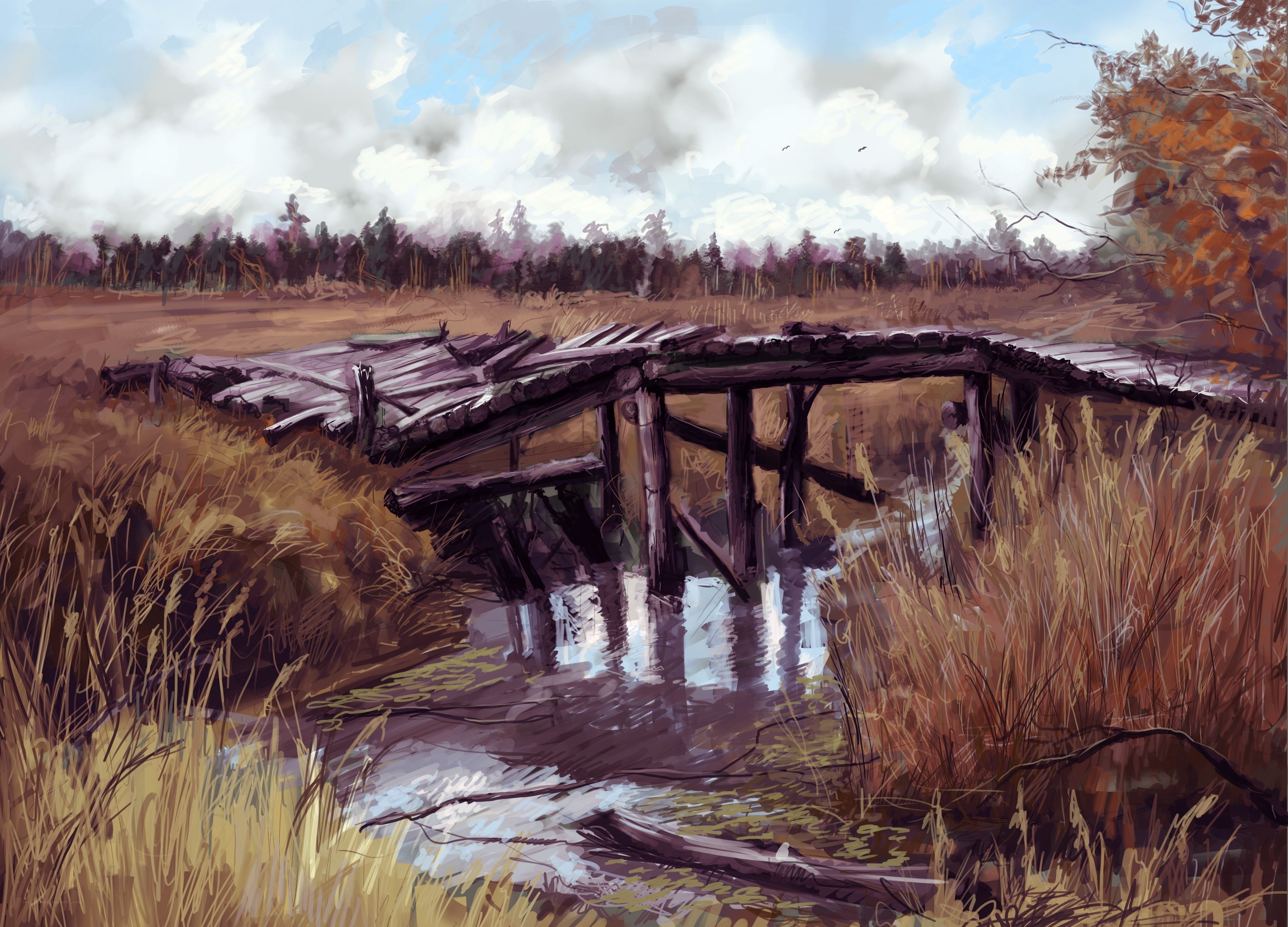 Old wooden bridge over stream