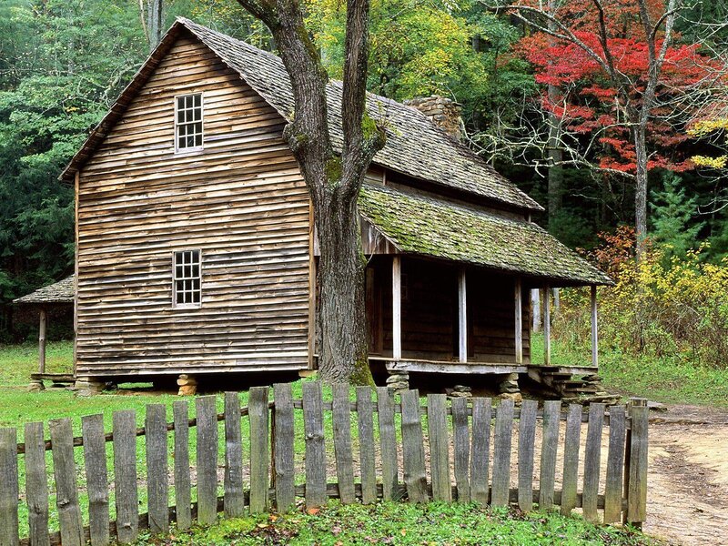 Old wooden cabin in forest