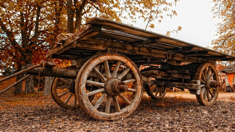 Old wooden cart in autumn