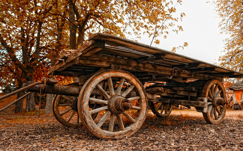 Old wooden cart in autumn