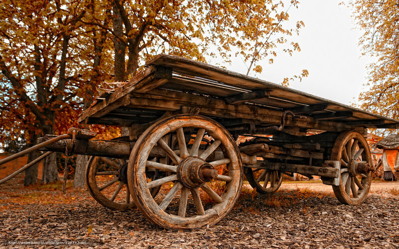 Old wooden cart in autumn