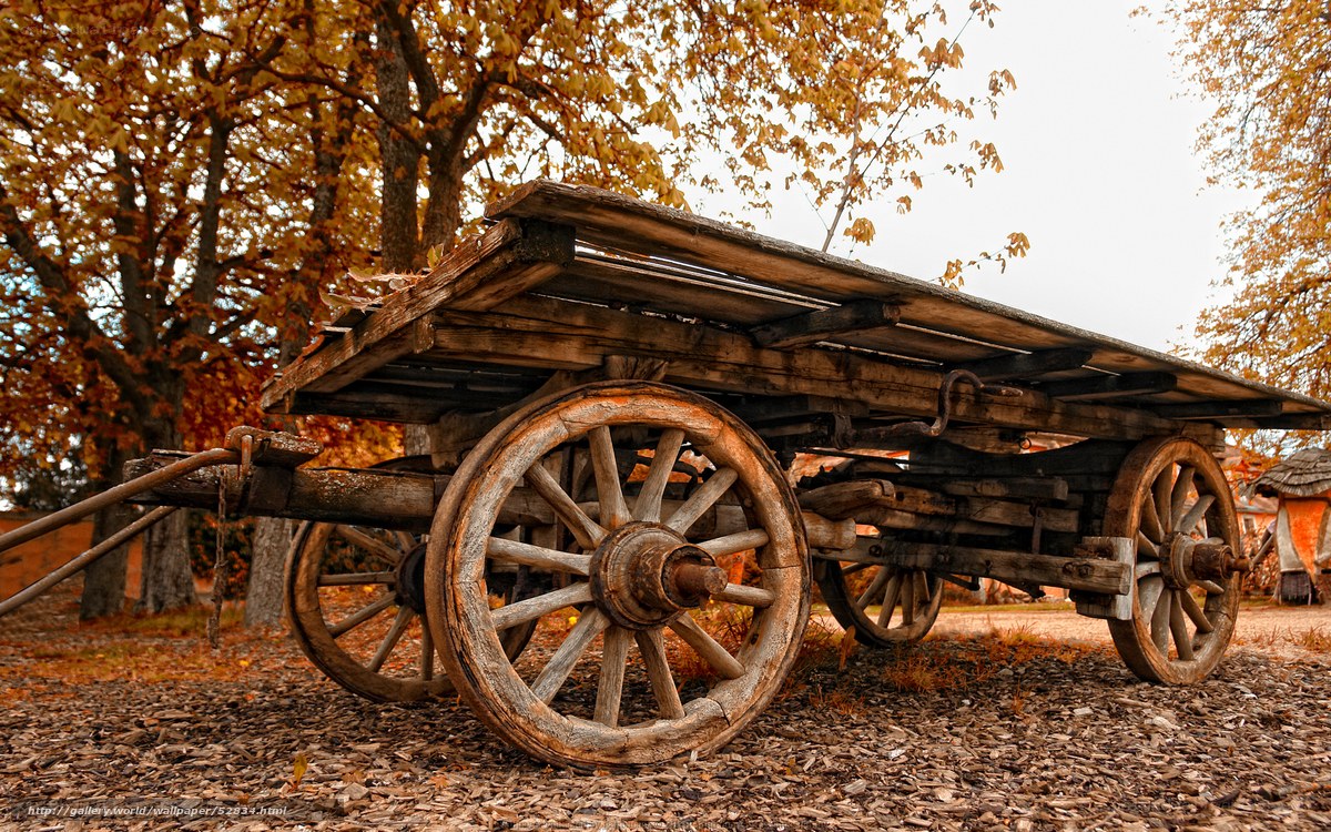 Old wooden cart in autumn