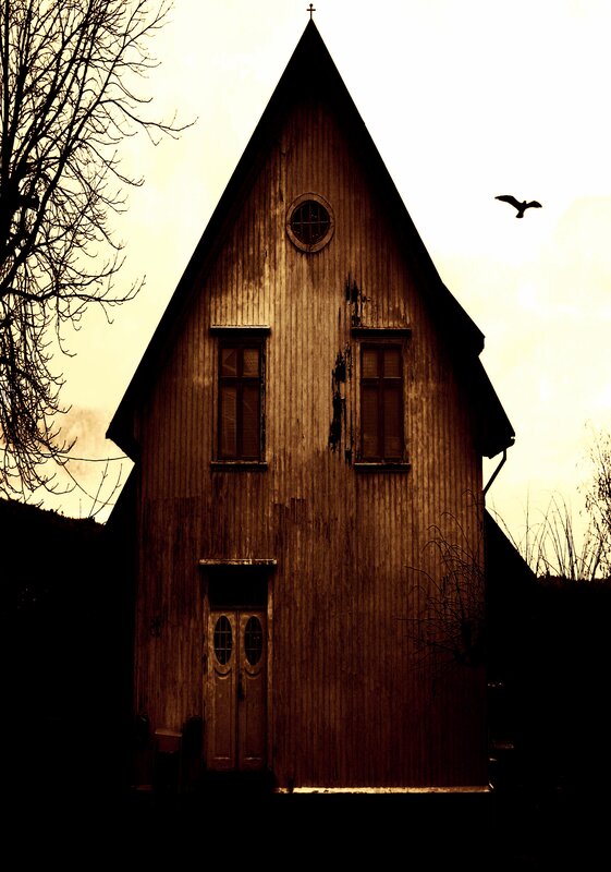 Old wooden church with bird