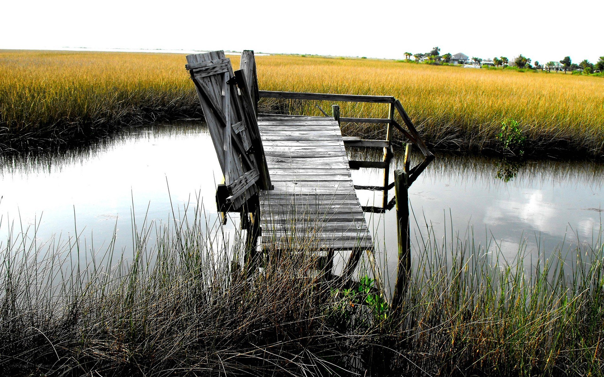 Old wooden dock in marsh