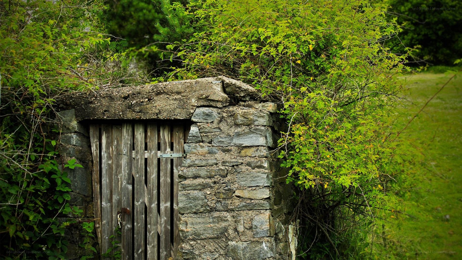 Old wooden door in stone wall