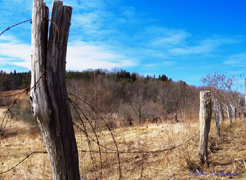 Old Wooden Fence Post