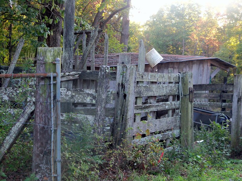 Old Wooden Fence