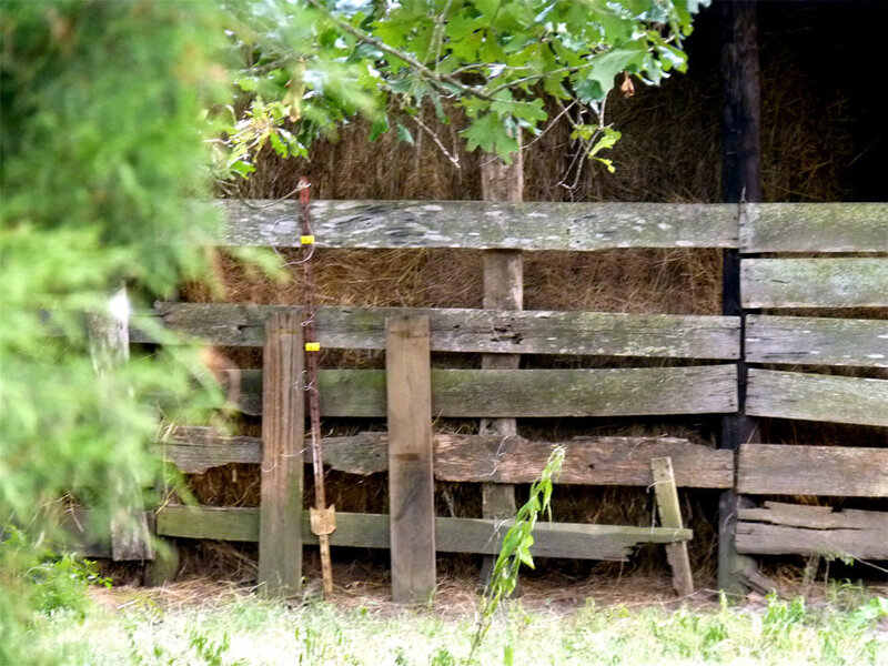 Old wooden fence with hay bales