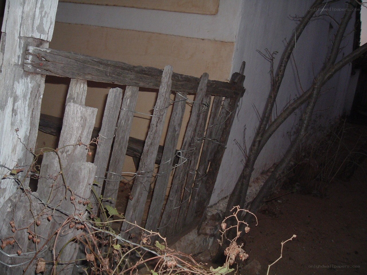 Old wooden gate at night