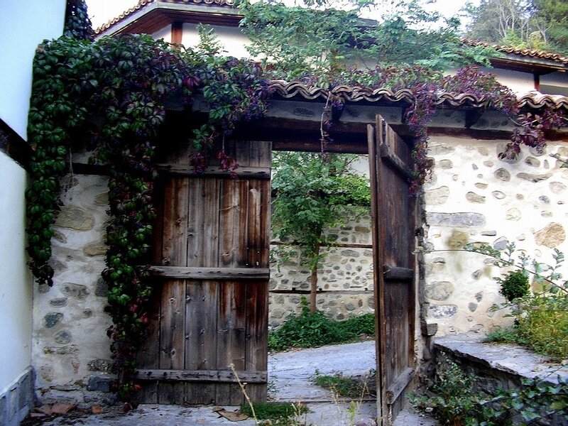 Old wooden gate with ivy