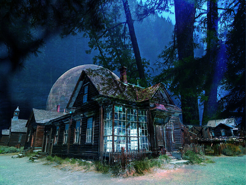 Old Wooden House in Forest